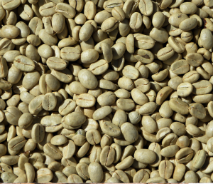 Aribica coffee bean S16