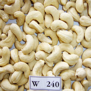 Raw cashew nuts without skin W180